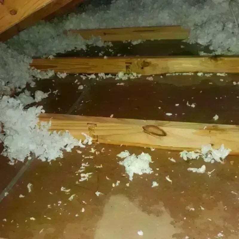 Attic Water Damage in Cortland, OH