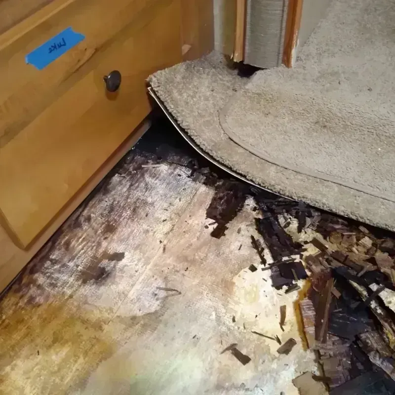 Wood Floor Water Damage in Cortland, OH